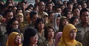 Ratusan Honorer Bengkalis Menanti Nasib Dirumahkan
